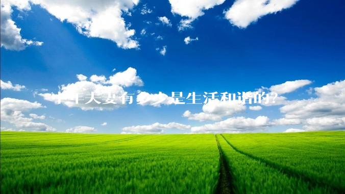 中年夫妻有多少是生活和谐的？